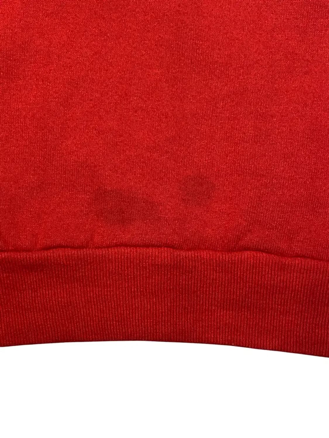 프루트 오브 더 룸 스웻셔츠 (Man M) AB0763 상품이미지8