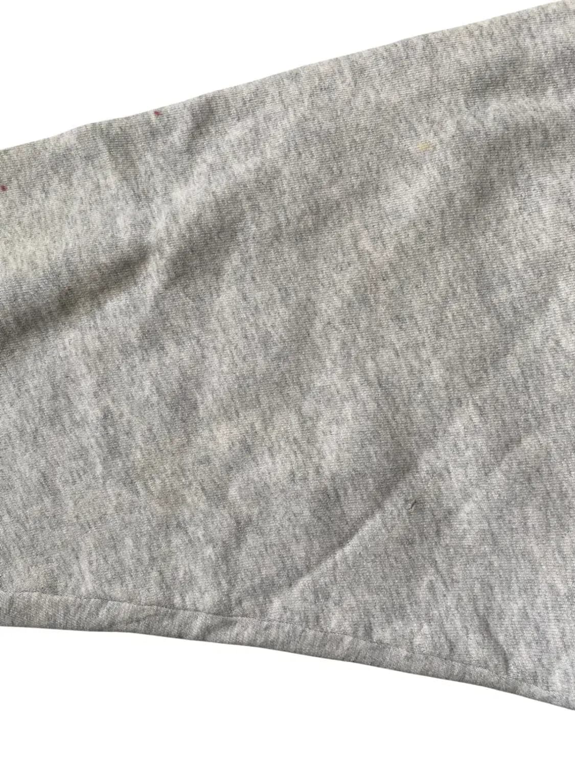 프룻 오브 더 룸 스웻셔츠 (Man XL) AB0780 상품이미지10