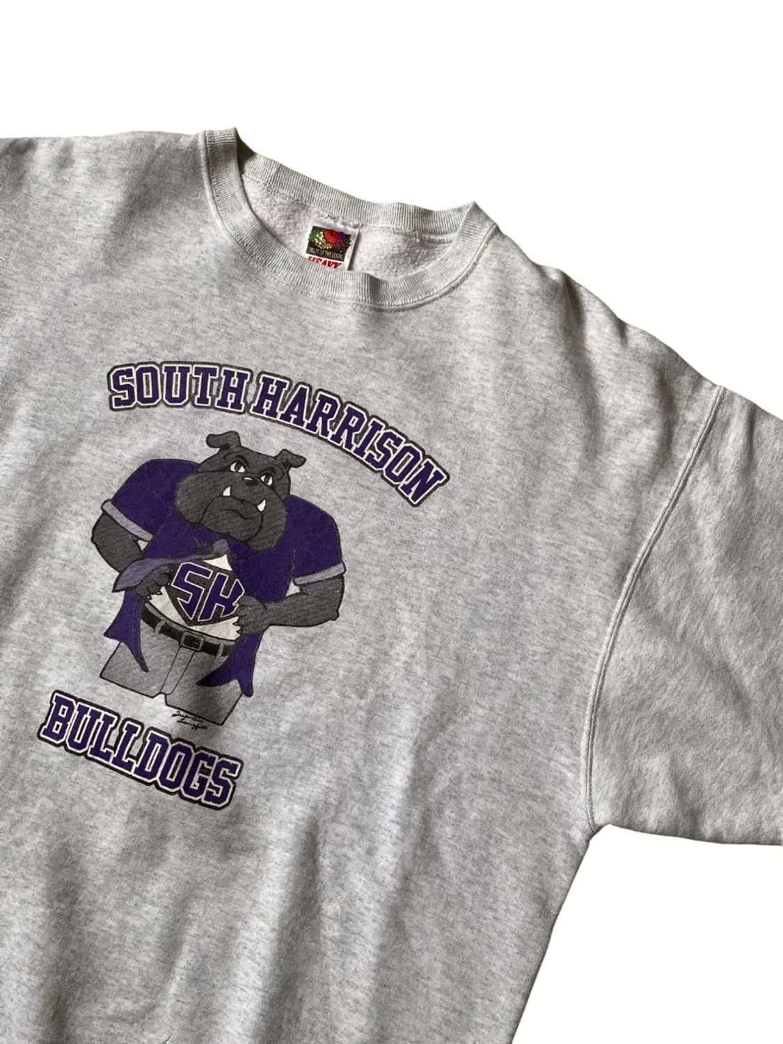 프룻 오브 더 룸 스웻셔츠 (Man XL) AB0780 상품이미지4