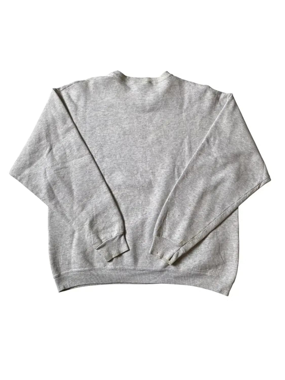 프룻 오브 더 룸 스웻셔츠 (Man XL) AB0780 상품이미지8