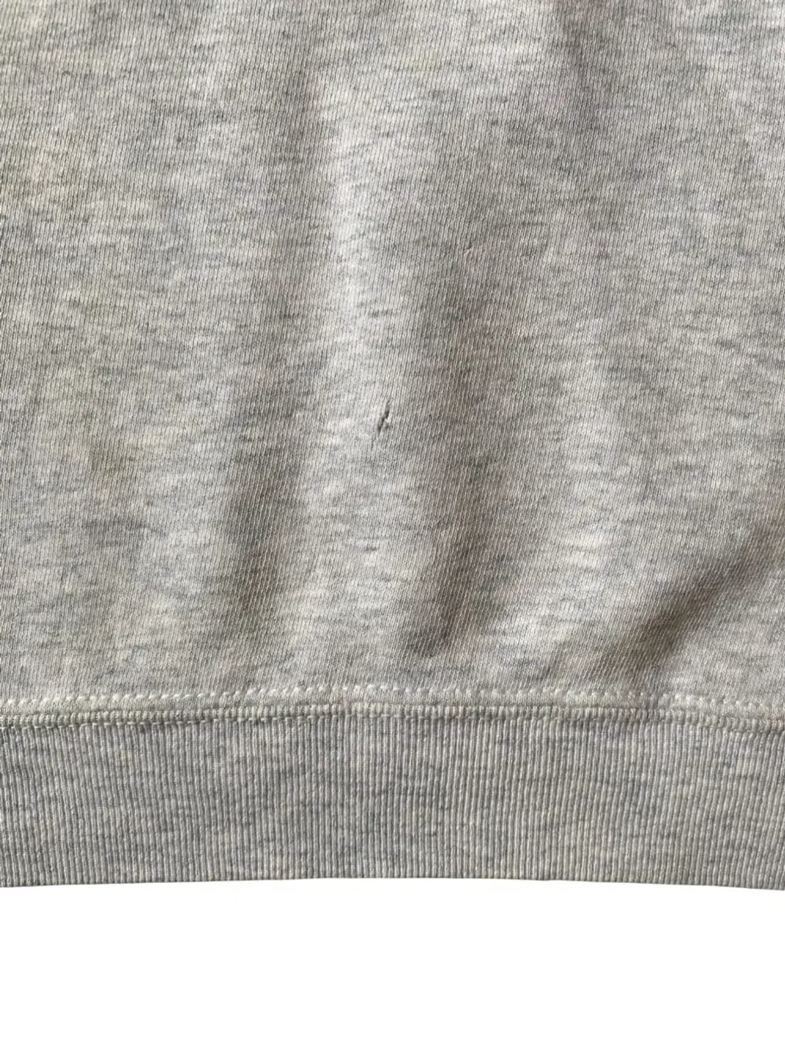 프룻 오브 더 룸 스웻셔츠 (Man XL) AB0780 상품이미지9