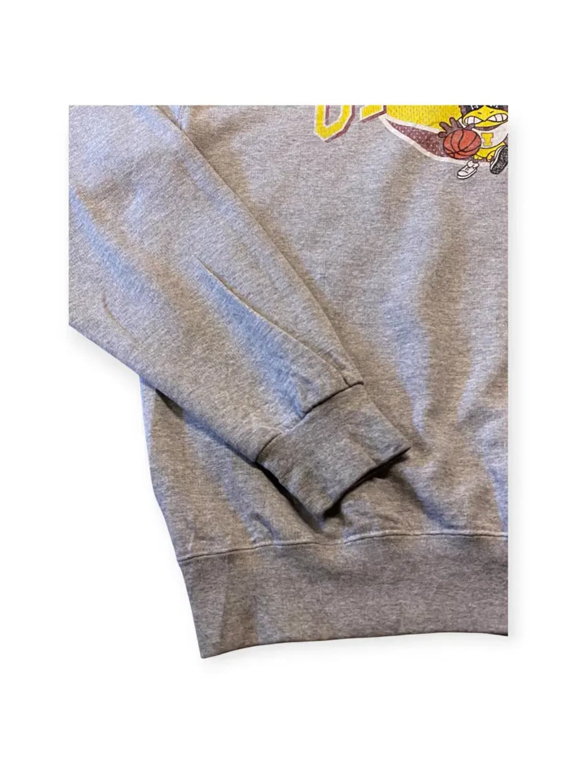 챔피온 스웻셔츠 (Man L) AA0594 상품이미지7