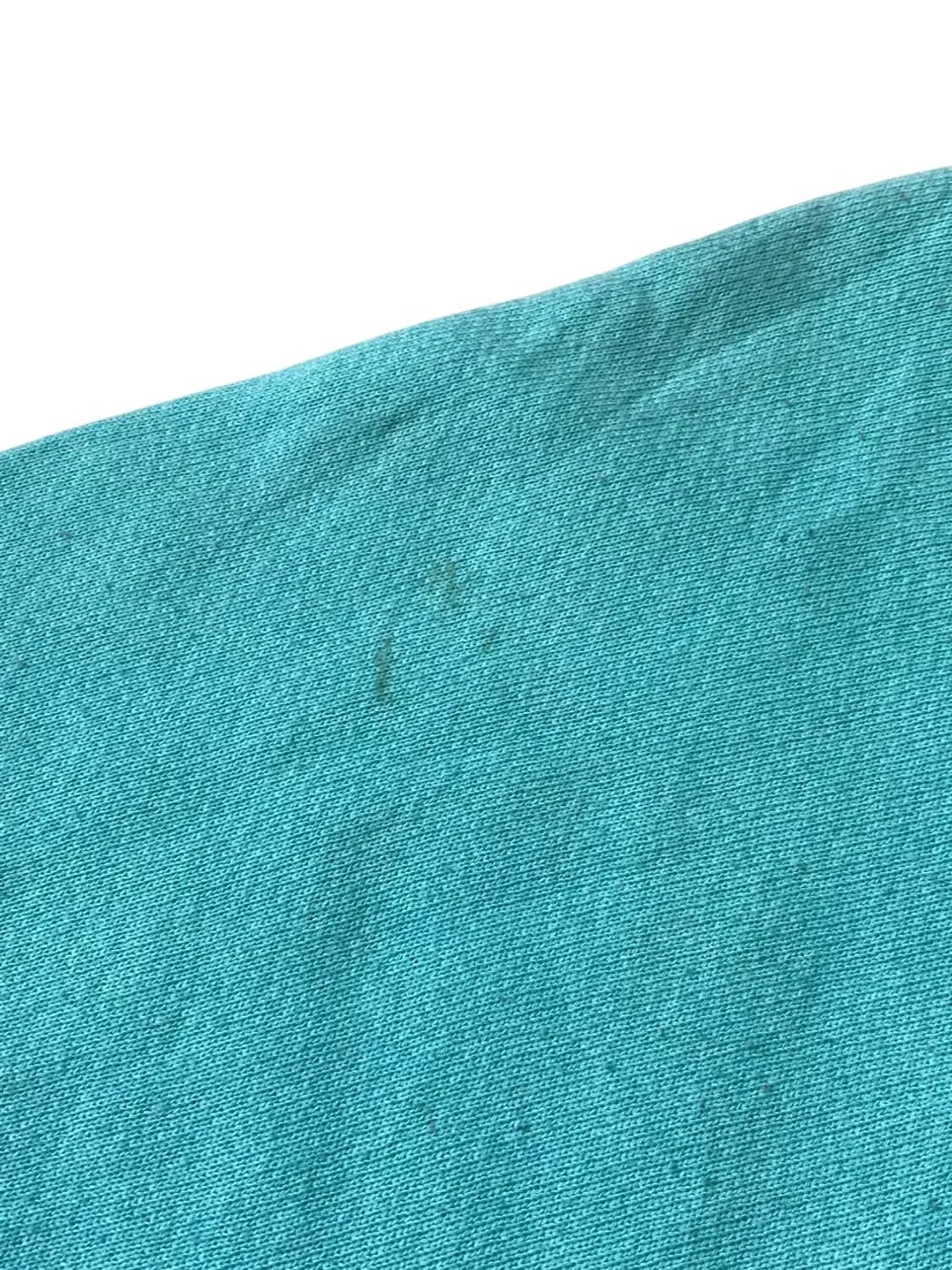 프룻 오브 더 룸 스웻셔츠 (Woman L) AB0817 상품이미지8