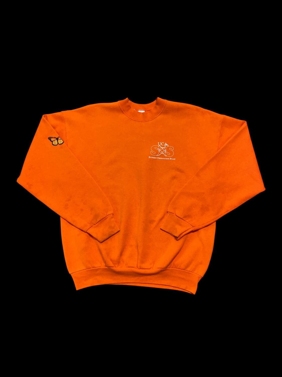 프룻 오브 더 룸 스웻셔츠 (Man L) / [AA1013] 상품이미지3