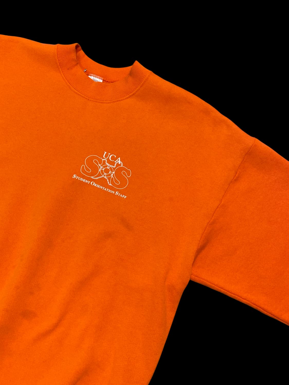 프룻 오브 더 룸 스웻셔츠 (Man L) / [AA1013] 상품이미지4