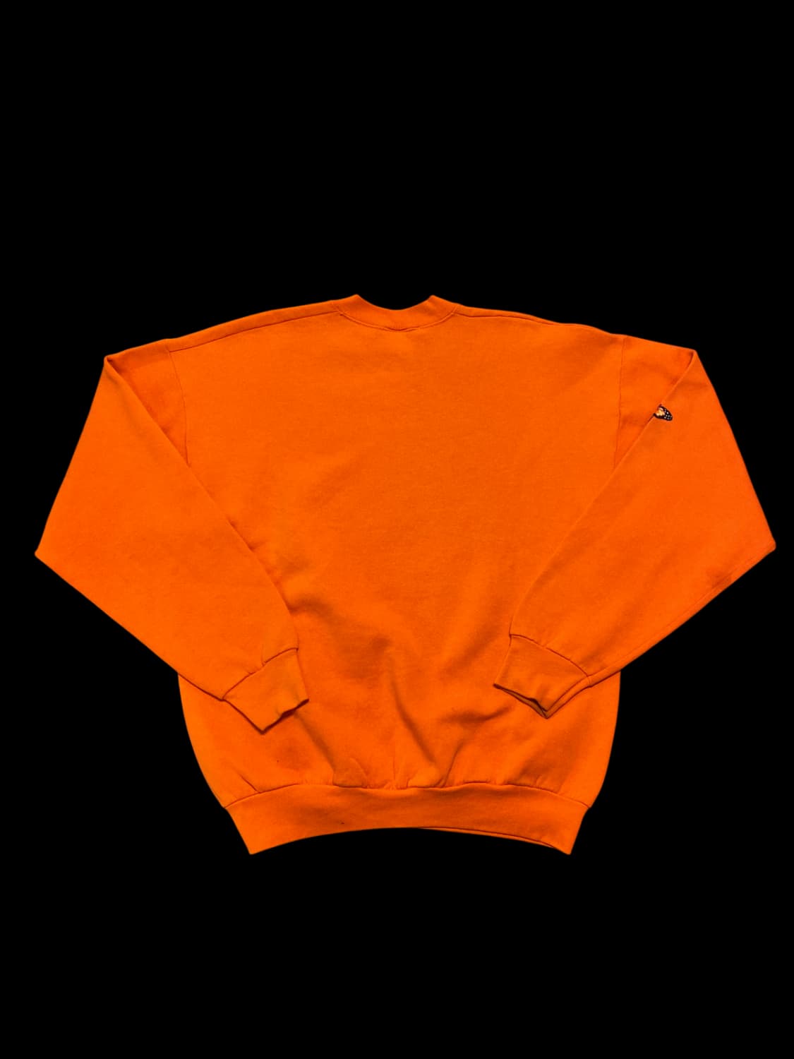 프룻 오브 더 룸 스웻셔츠 (Man L) / [AA1013] 상품이미지7