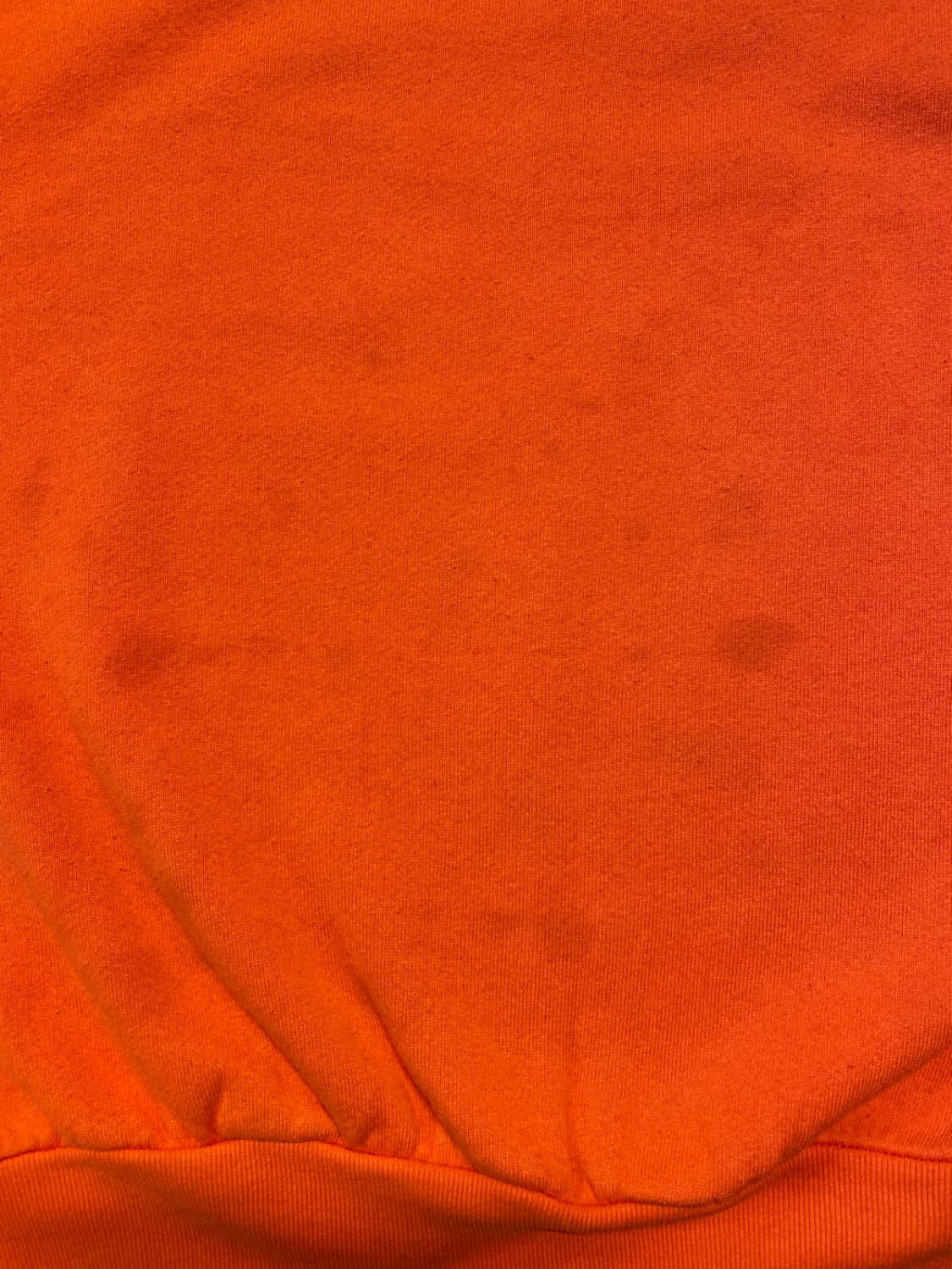 프룻 오브 더 룸 스웻셔츠 (Man L) / [AA1013] 상품이미지9