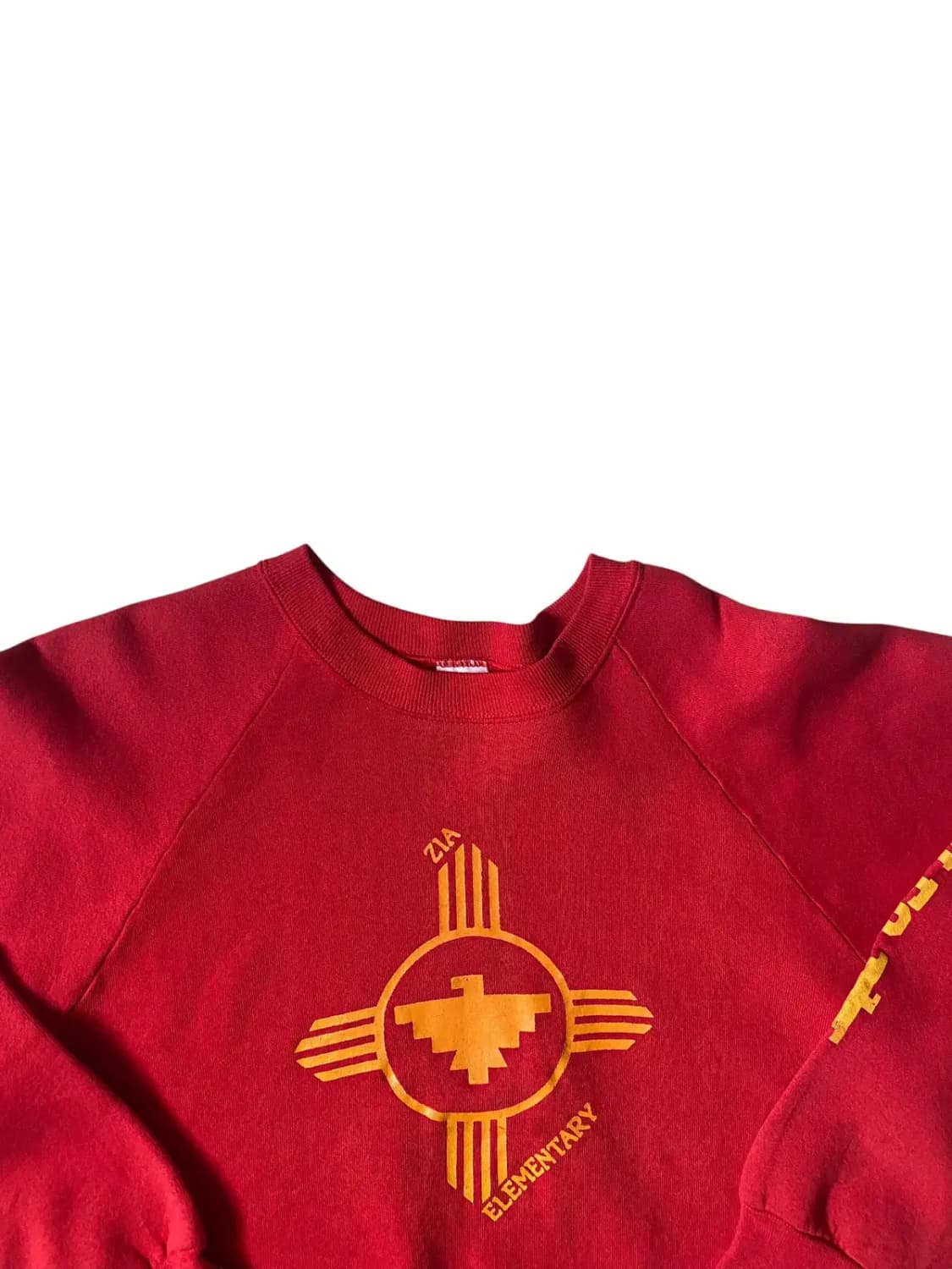 프룻오브더룸 맨투맨 (Man L) / [AB1323] 상품이미지2