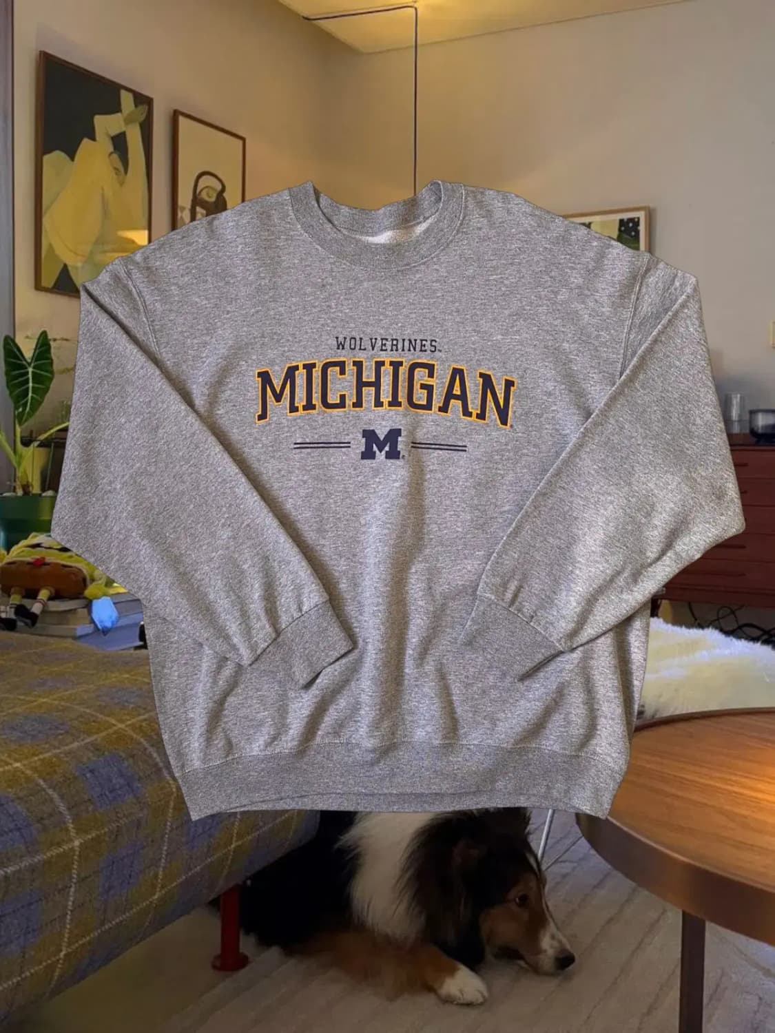 프루트 오브 더 룸 스웻셔츠 (Man XL) / [AB1343] 상품이미지1