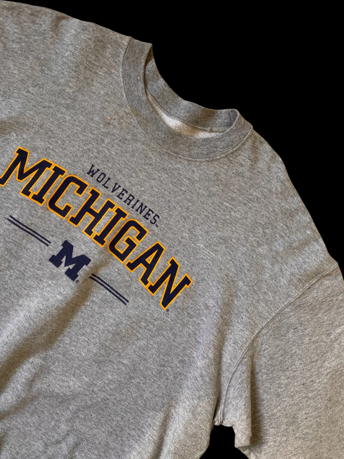 프루트 오브 더 룸 스웻셔츠 (Man XL) / [AB1343] 상품이미지2