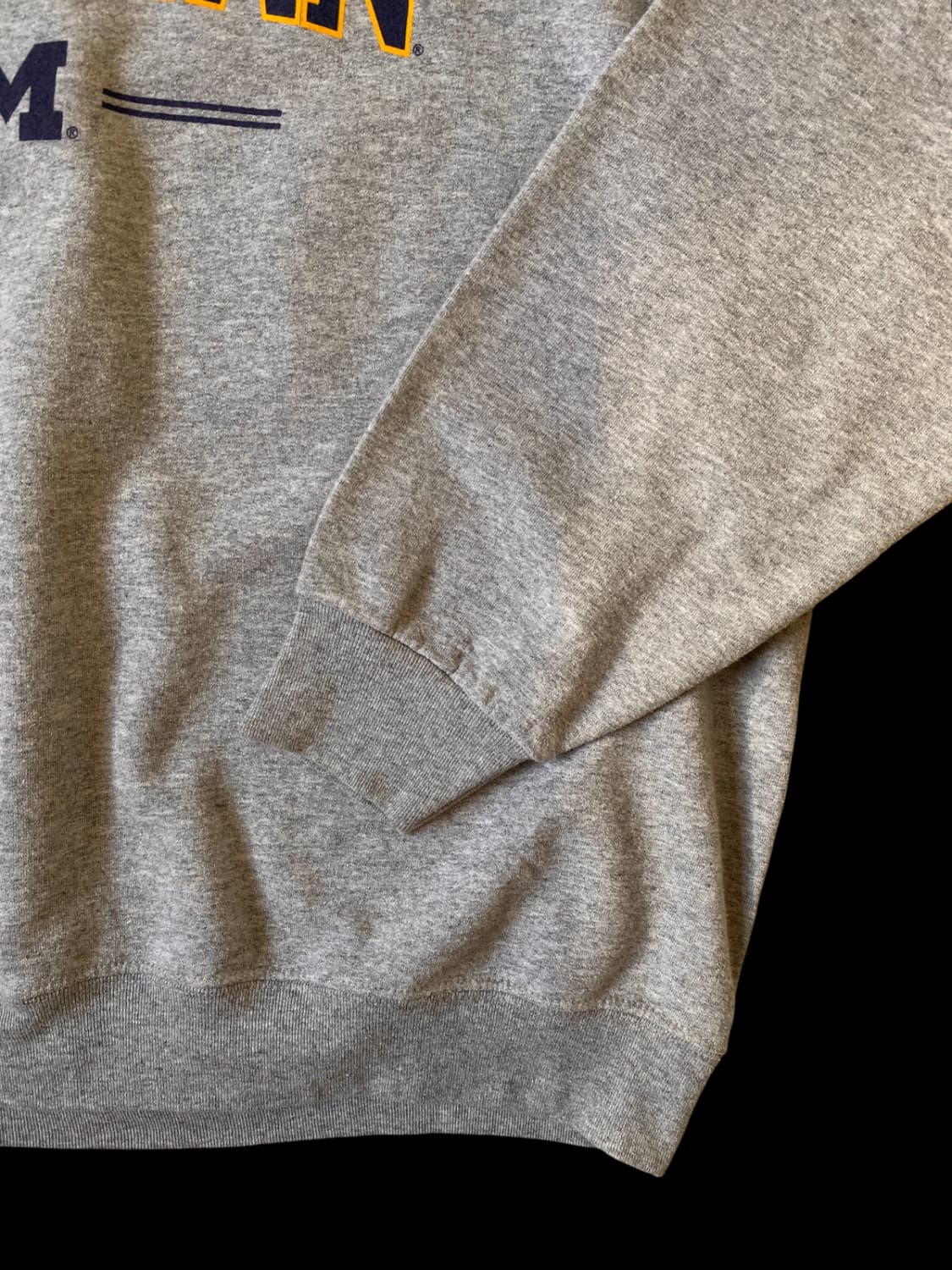 프루트 오브 더 룸 스웻셔츠 (Man XL) / [AB1343] 상품이미지3