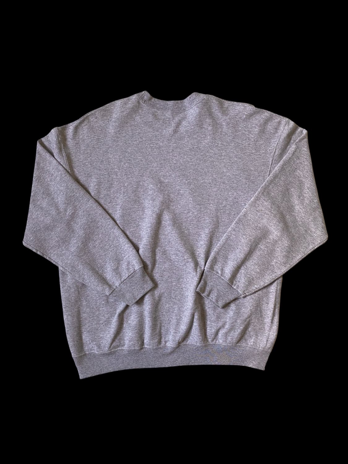 프루트 오브 더 룸 스웻셔츠 (Man XL) / [AB1343] 상품이미지5