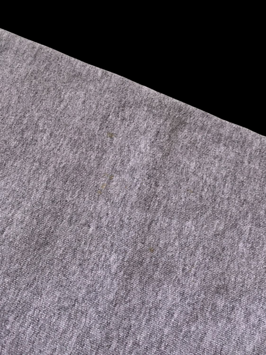 프루트 오브 더 룸 스웻셔츠 (Man XL) / [AB1343] 상품이미지6