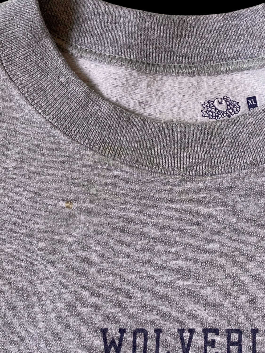 프루트 오브 더 룸 스웻셔츠 (Man XL) / [AB1343] 상품이미지7