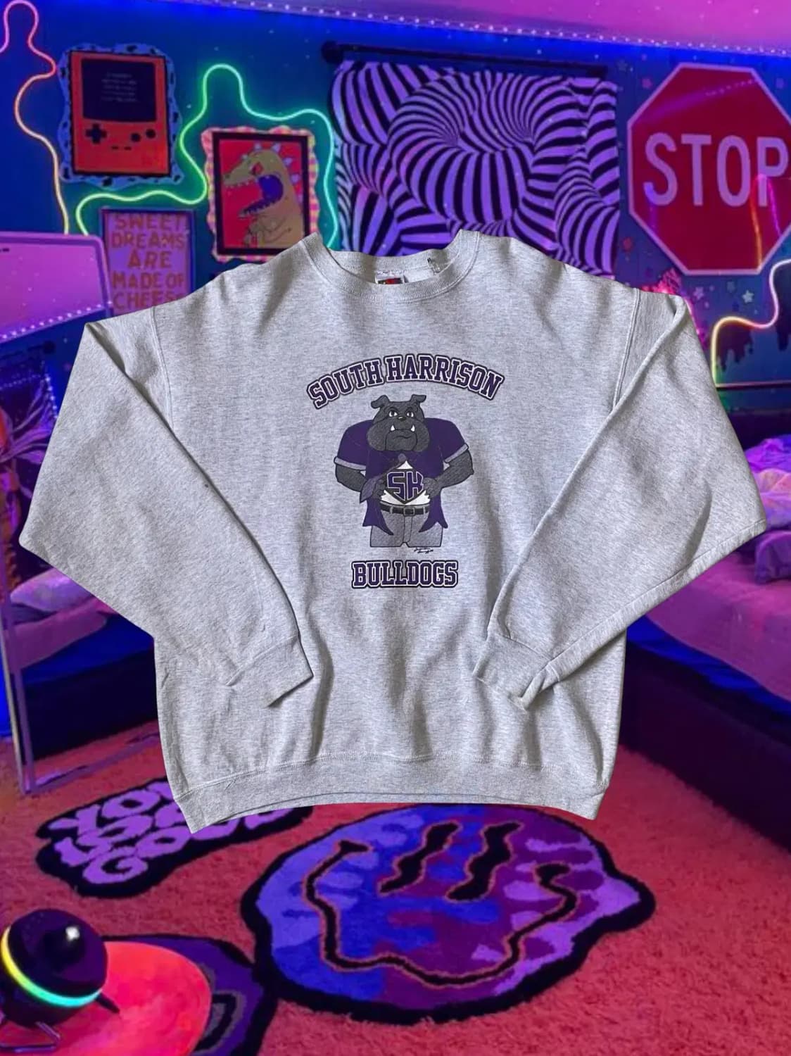 프룻 오브 더 룸 스웻셔츠 (Man XL) / [AB1344] 상품이미지1