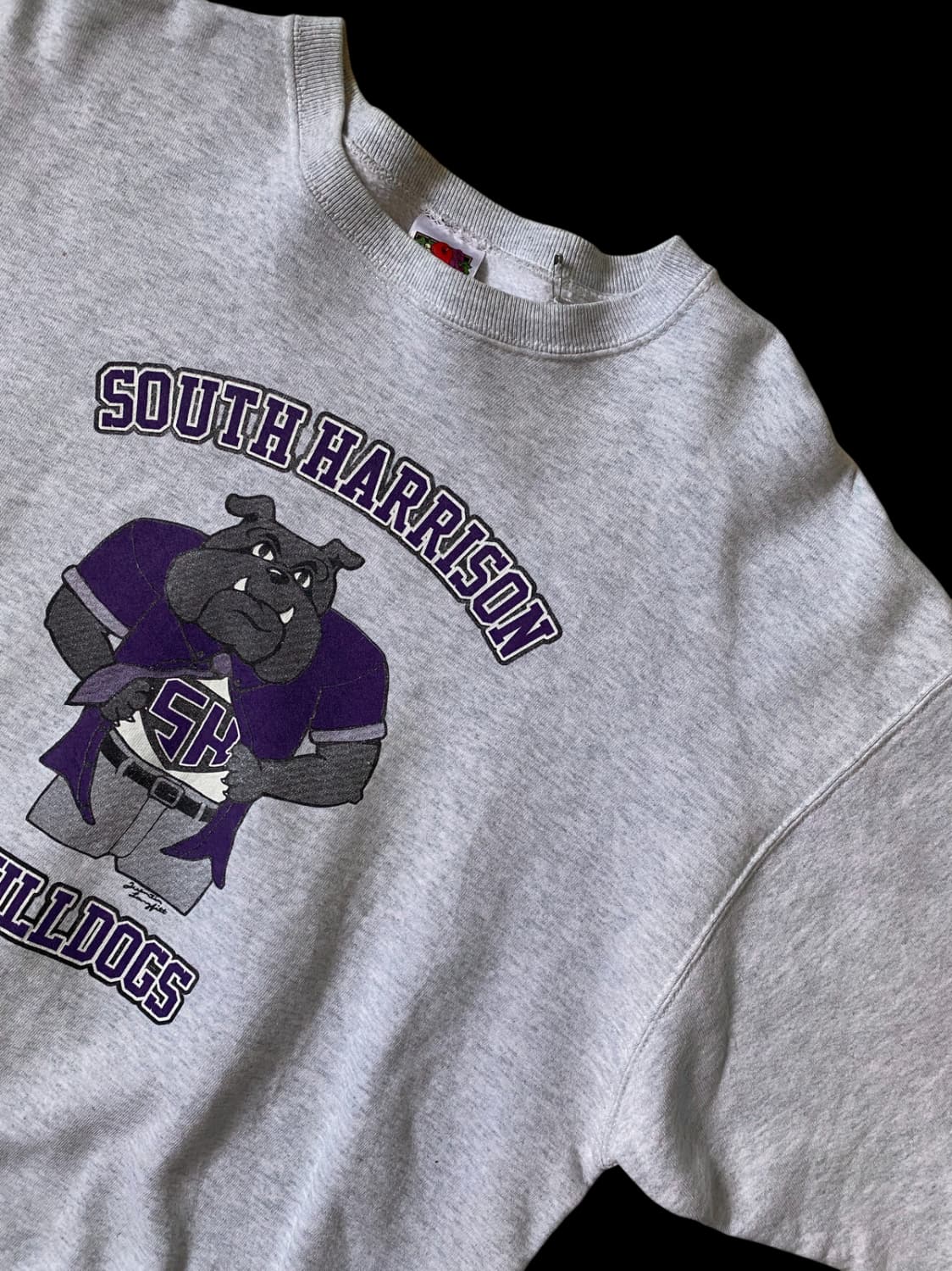 프룻 오브 더 룸 스웻셔츠 (Man XL) / [AB1344] 상품이미지2