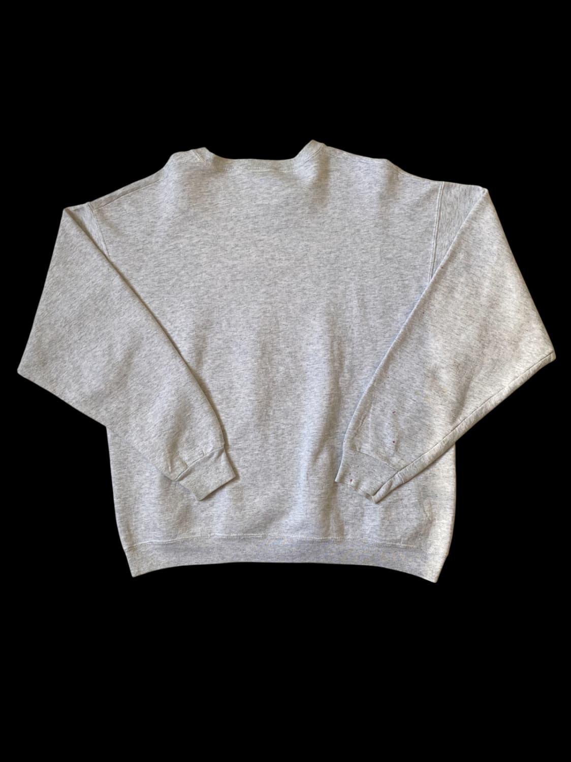 프룻 오브 더 룸 스웻셔츠 (Man XL) / [AB1344] 상품이미지7