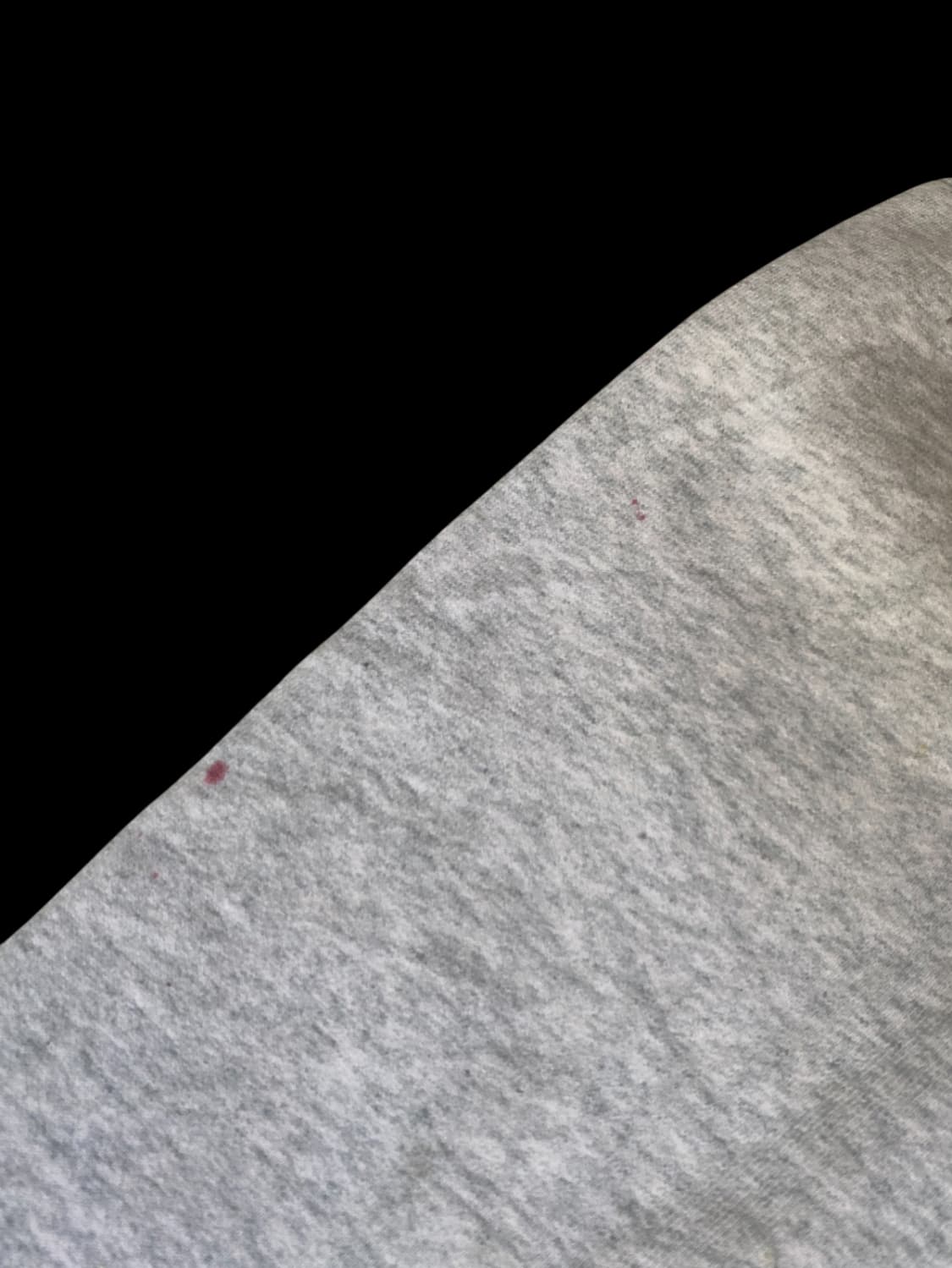 프룻 오브 더 룸 스웻셔츠 (Man XL) / [AB1344] 상품이미지9