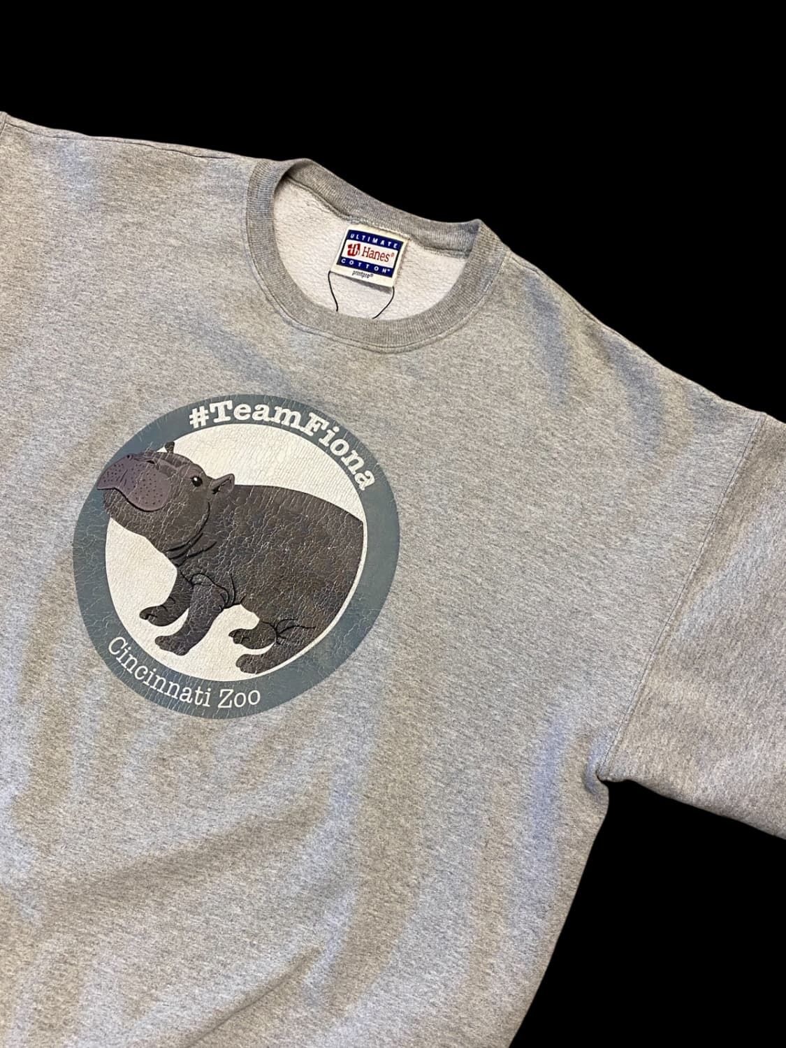 헤인즈 스웻셔츠 (Man L) / [AA1035] 상품이미지5