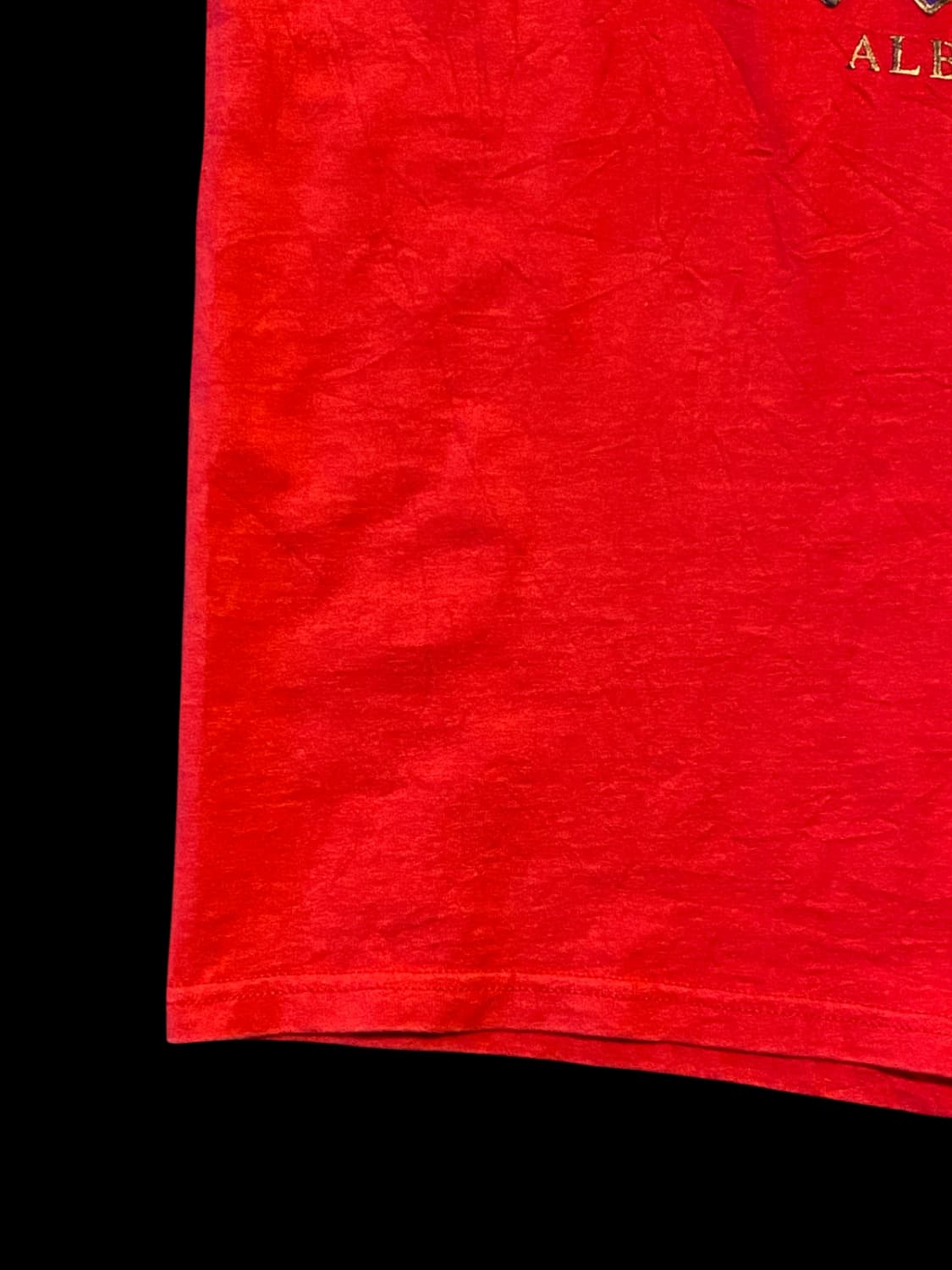 헤인즈 1/2 티셔츠 (Man L) / [AA1070] 상품이미지5