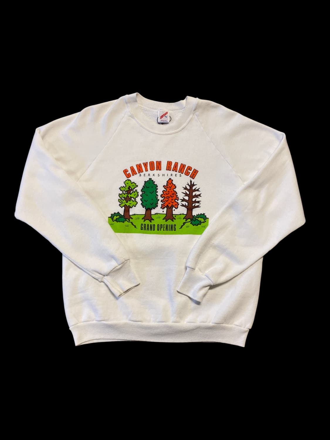 맨투맨 티셔츠 MADE IN USA (Man S) / [AA1068] 상품이미지3