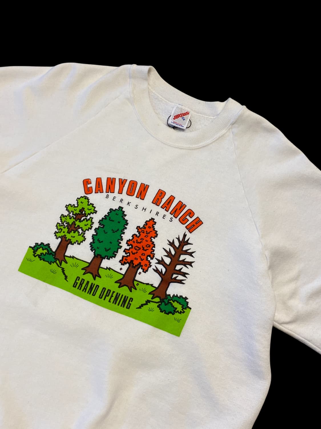 맨투맨 티셔츠 MADE IN USA (Man S) / [AA1068] 상품이미지4