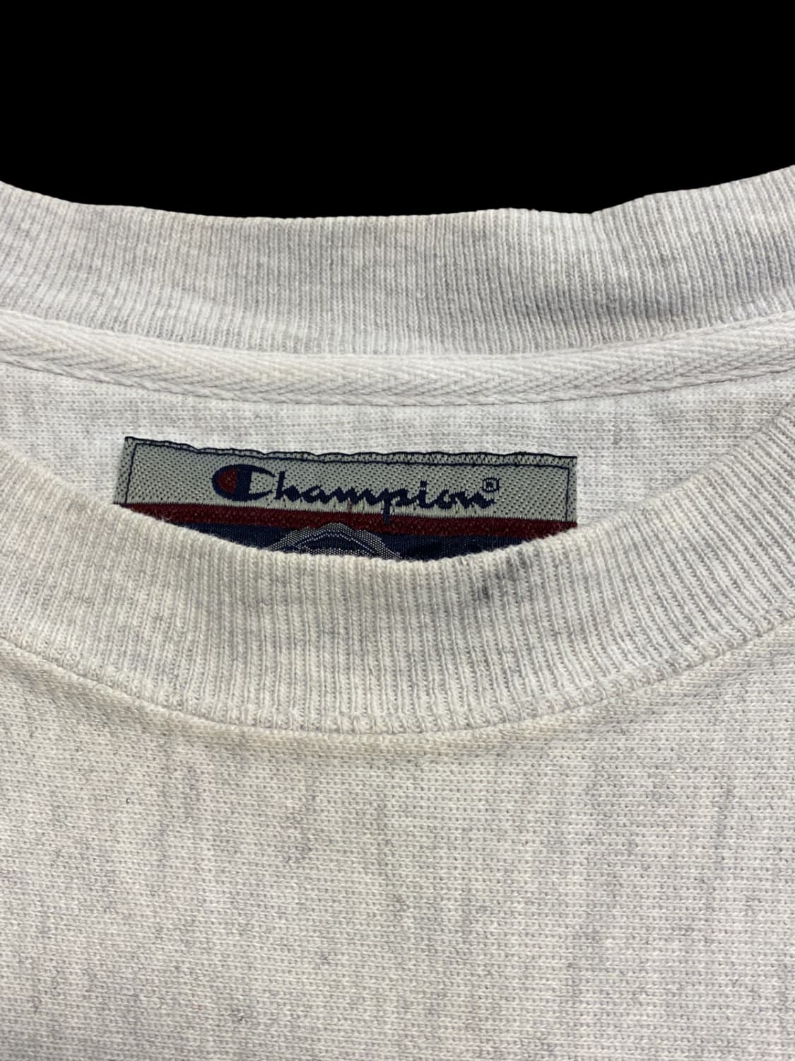 챔피온 스웻셔츠 (Man L) / [AA1071] 상품이미지9