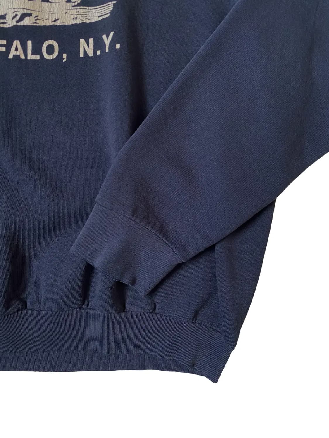 프루트 오브 더 룸 스웻셔츠 (Man L) / [AB1456] 상품이미지3