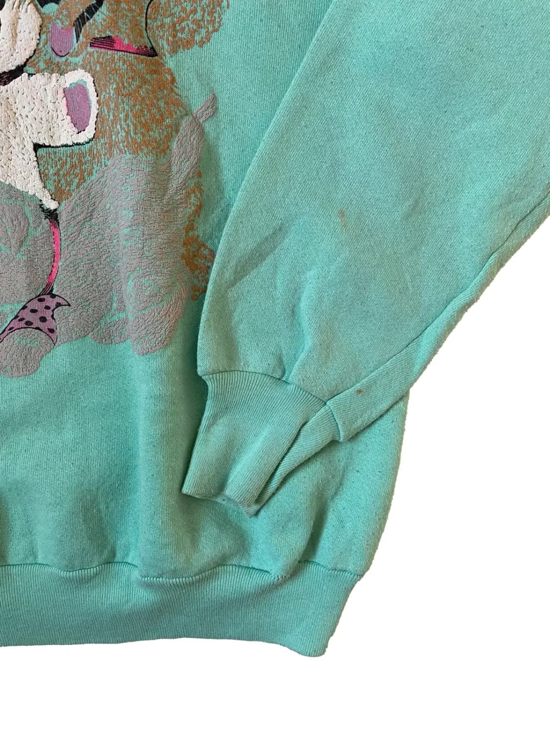 프룻 오브 더 룸 스웻셔츠 (Woman L) / [AB1480] 상품이미지3