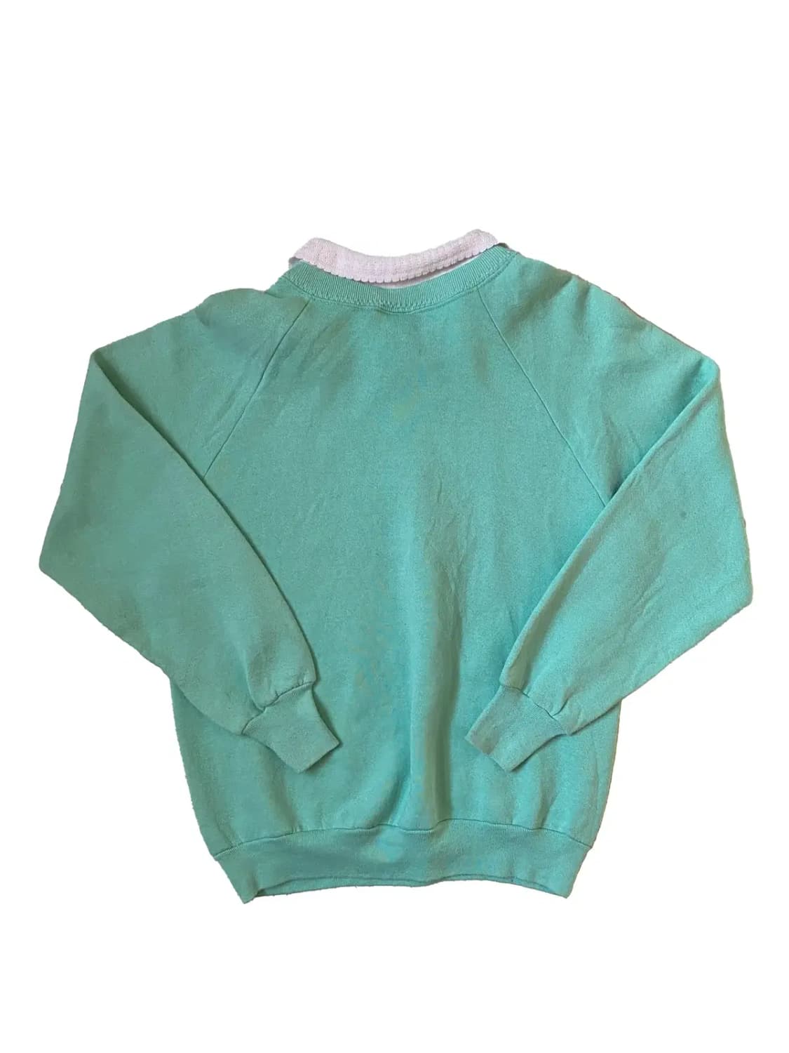 프룻 오브 더 룸 스웻셔츠 (Woman L) / [AB1480] 상품이미지5