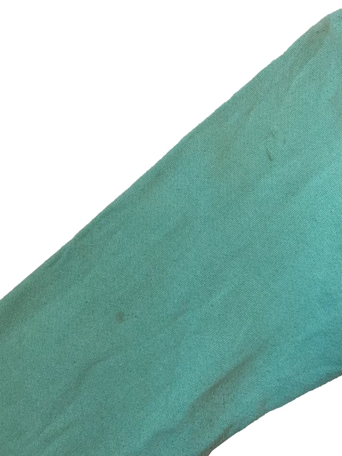 프룻 오브 더 룸 스웻셔츠 (Woman L) / [AB1480] 상품이미지6