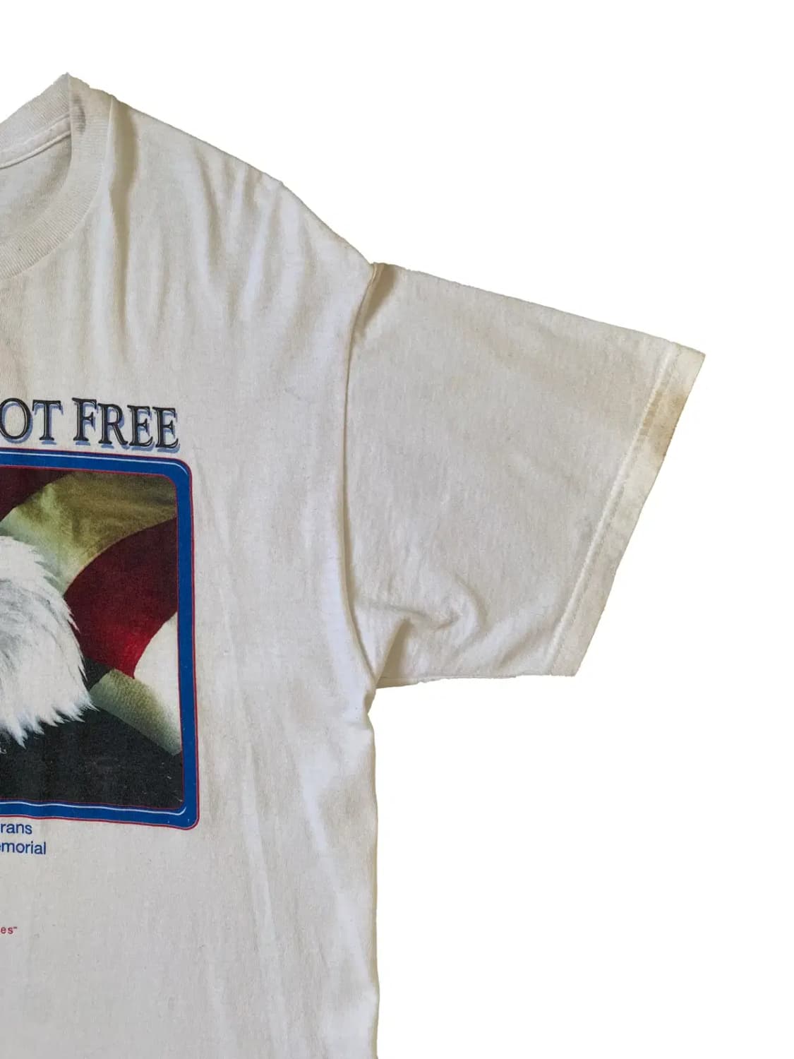 프룻 오브 더 룸 1/2 티셔츠 (Man L) / [AB1564] 상품이미지3