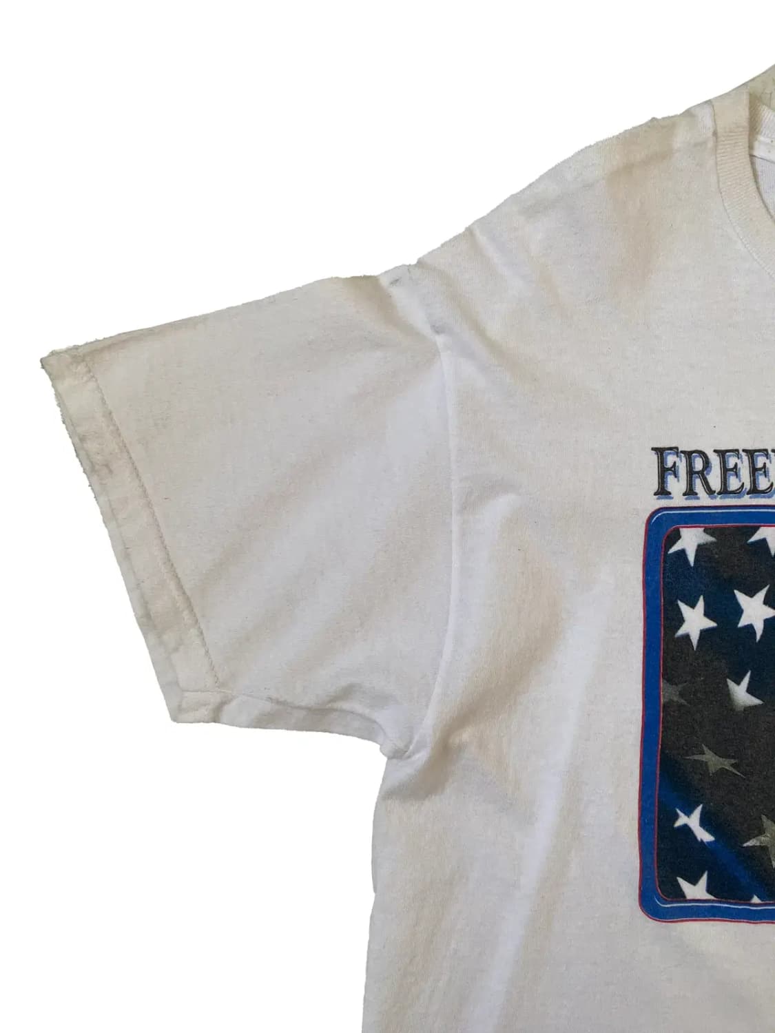 프룻 오브 더 룸 1/2 티셔츠 (Man L) / [AB1564] 상품이미지7