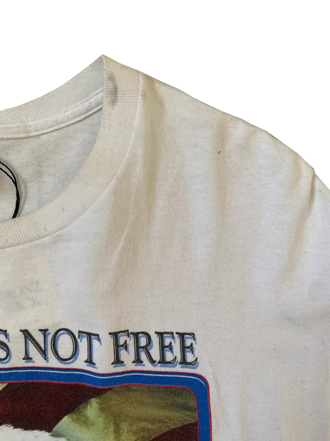 프룻 오브 더 룸 1/2 티셔츠 (Man L) / [AB1564] 상품이미지8