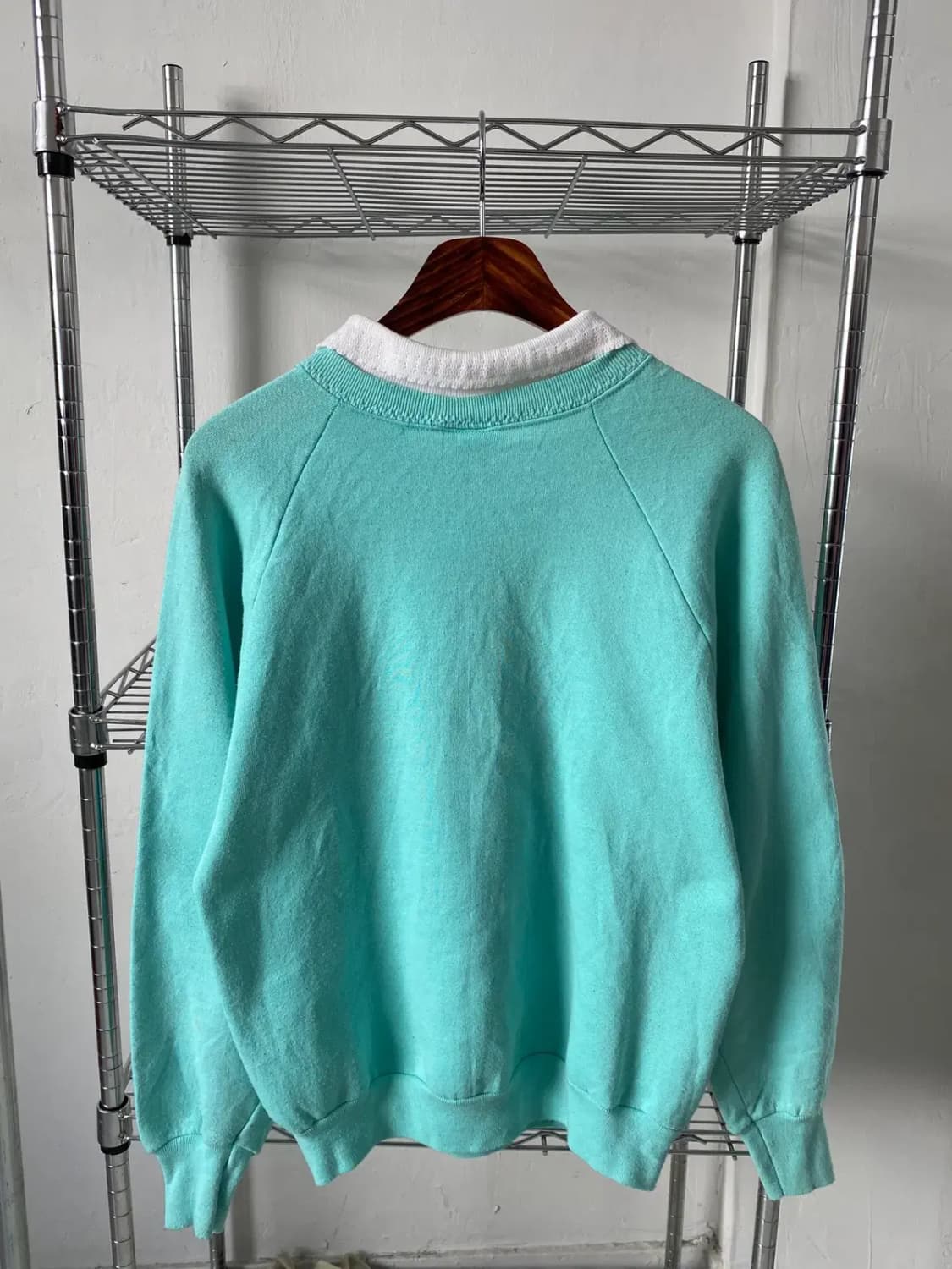 프룻 오브 더 룸 스웻셔츠 (Woman L) / [AB1749] 상품이미지5