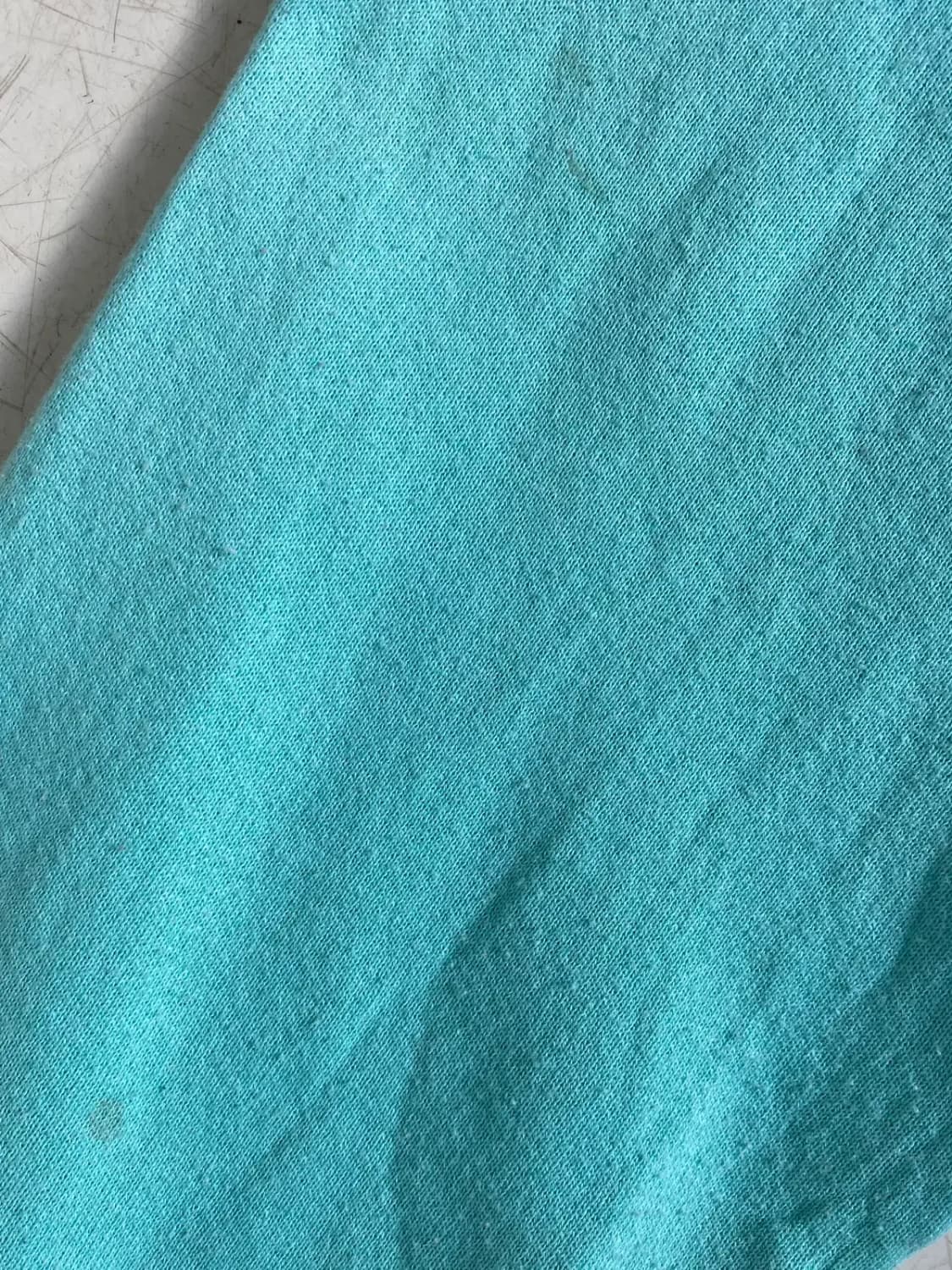 프룻 오브 더 룸 스웻셔츠 (Woman L) / [AB1749] 상품이미지6