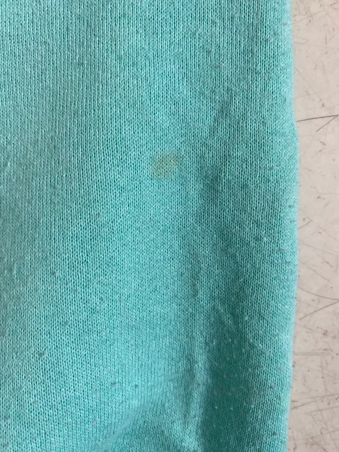 프룻 오브 더 룸 스웻셔츠 (Woman L) / [AB1749] 상품이미지7