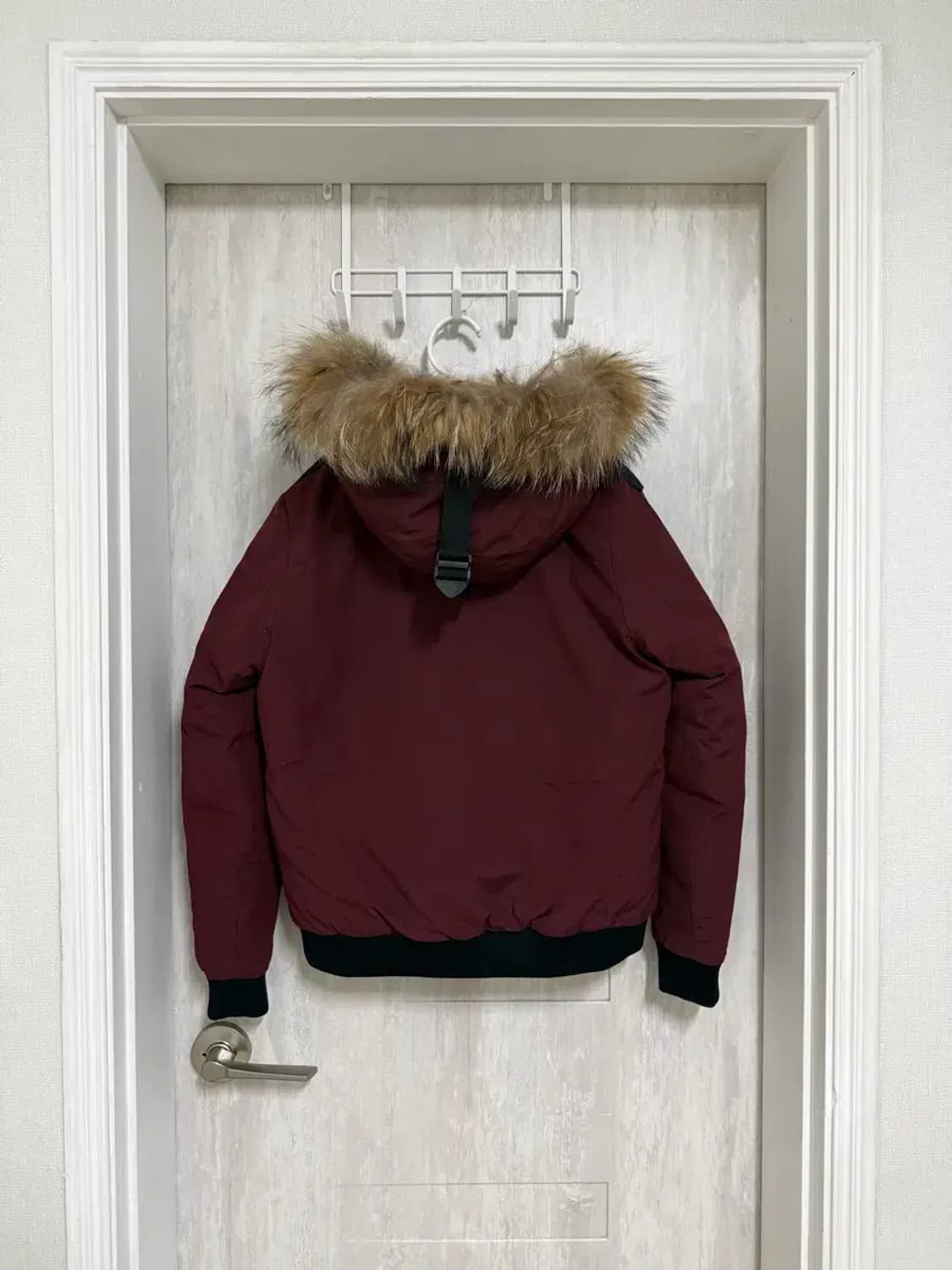 여성 95 / 머렐 라쿤털 스투키 숏패딩 상품이미지7