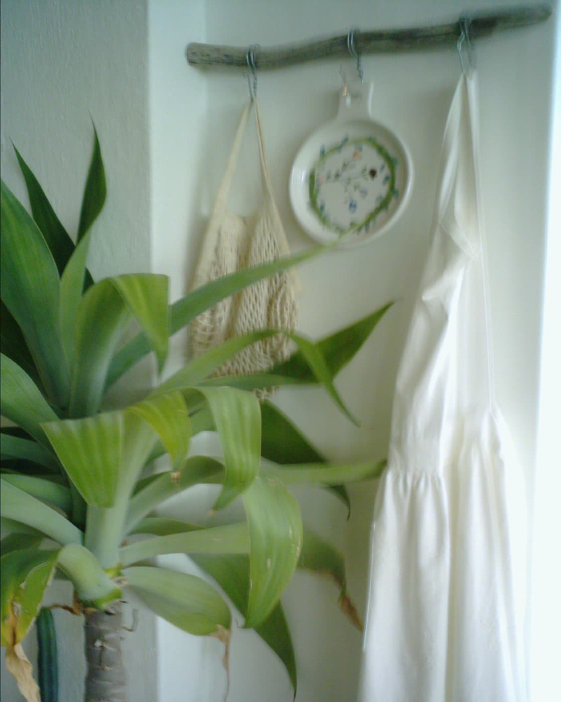 AVOX adss-02xs 빈티지디카 상품이미지7