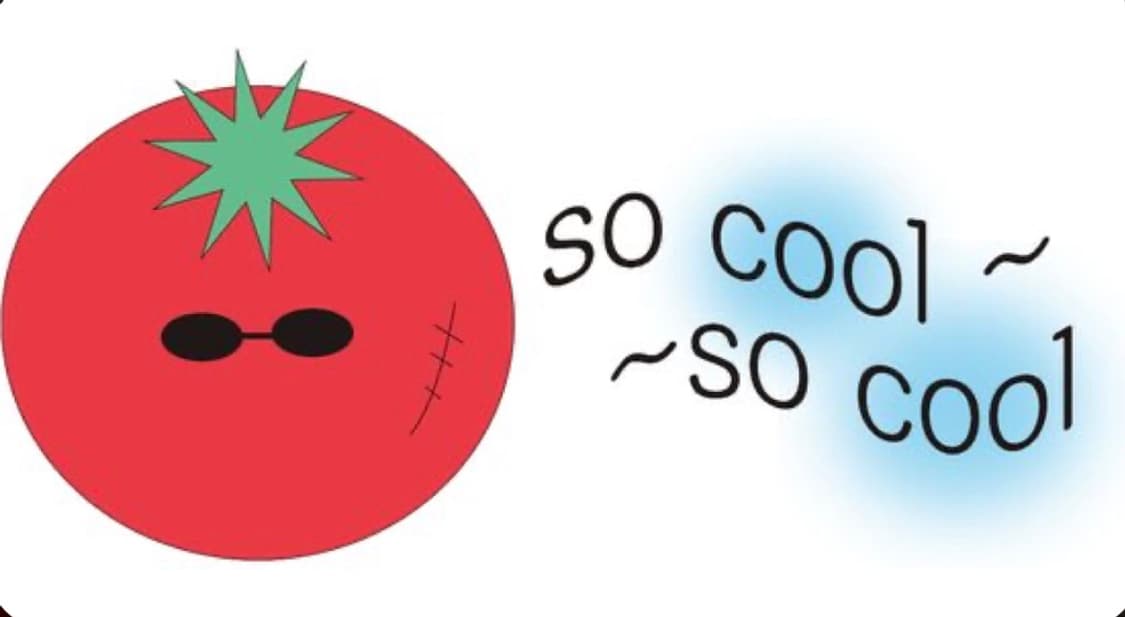 개인결제창 상품이미지1