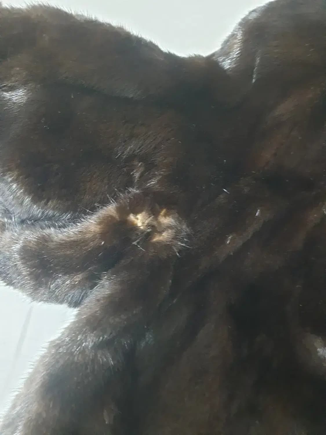 진도 블랙그라마 밍크 모피 코트 상품이미지3