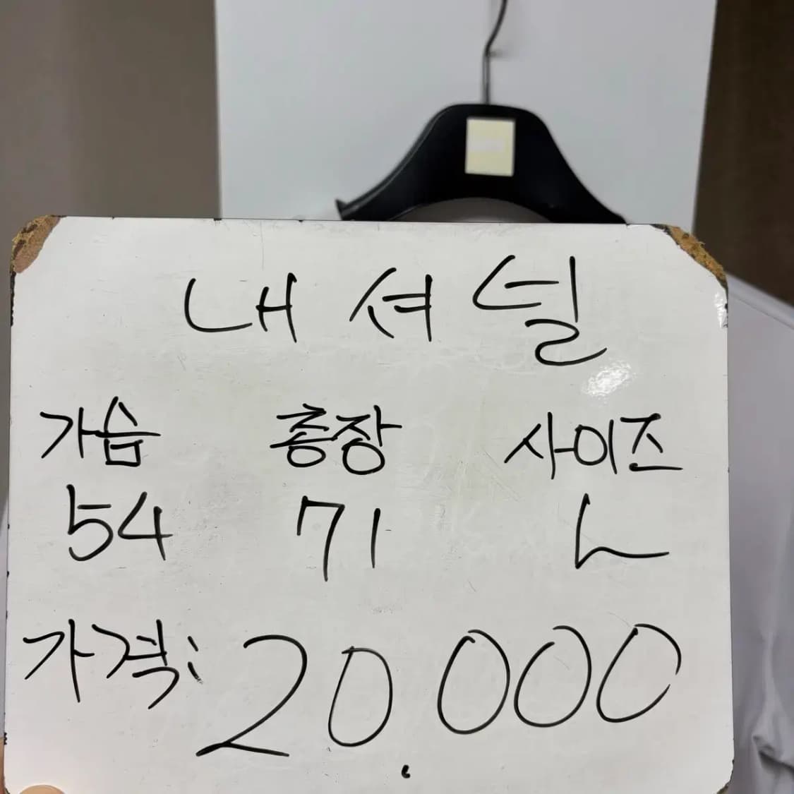 내셔널지오그래픽 기능성 반팔 L 상품이미지2