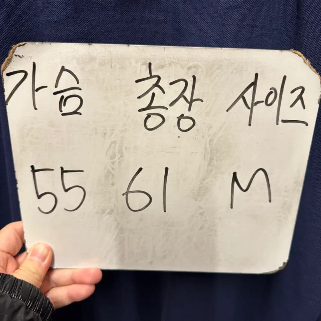 폴로 최신라벨 긴팔 카라티 여성 M 상품이미지2