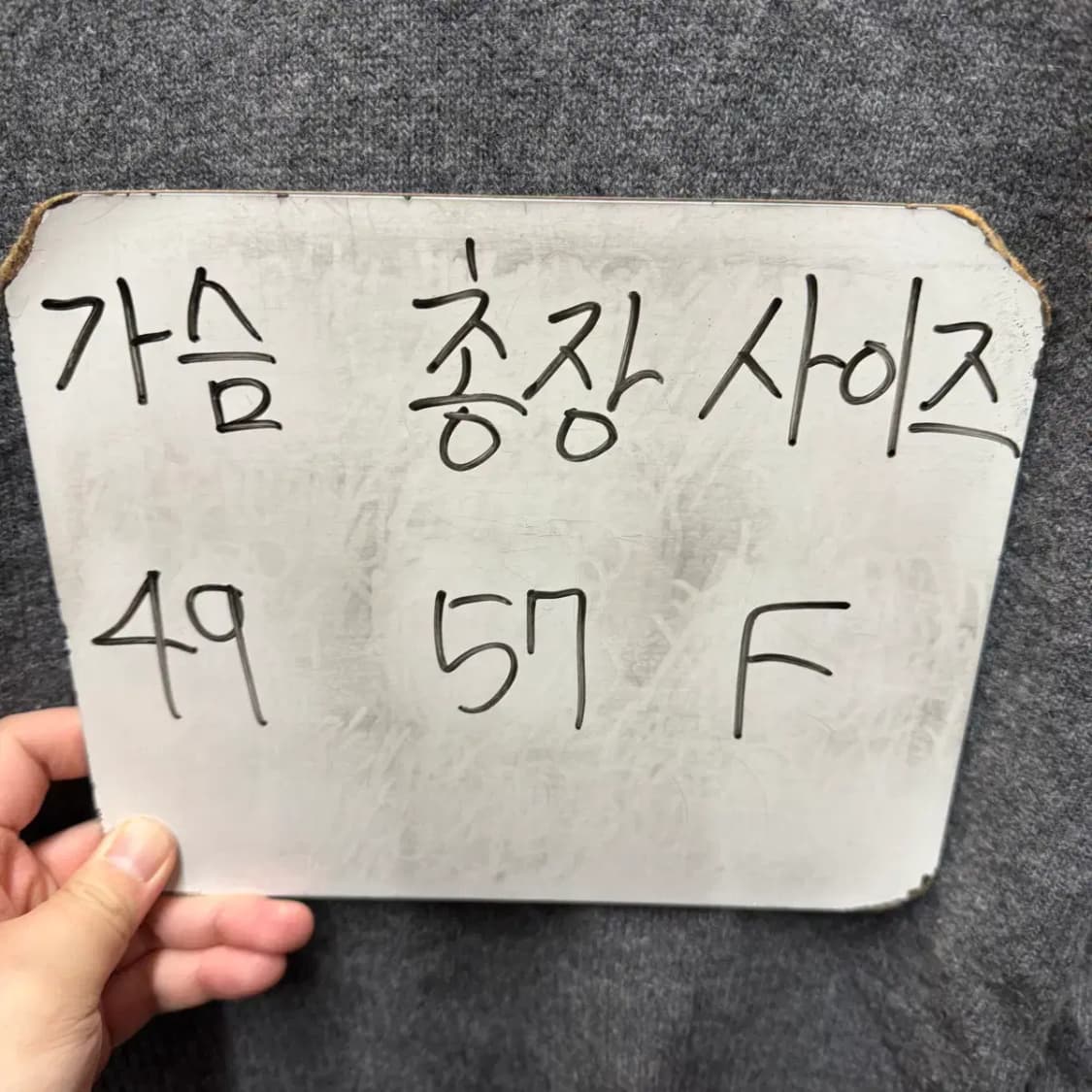 헬베티카 라운드 니트 Free (여성) 상품이미지2