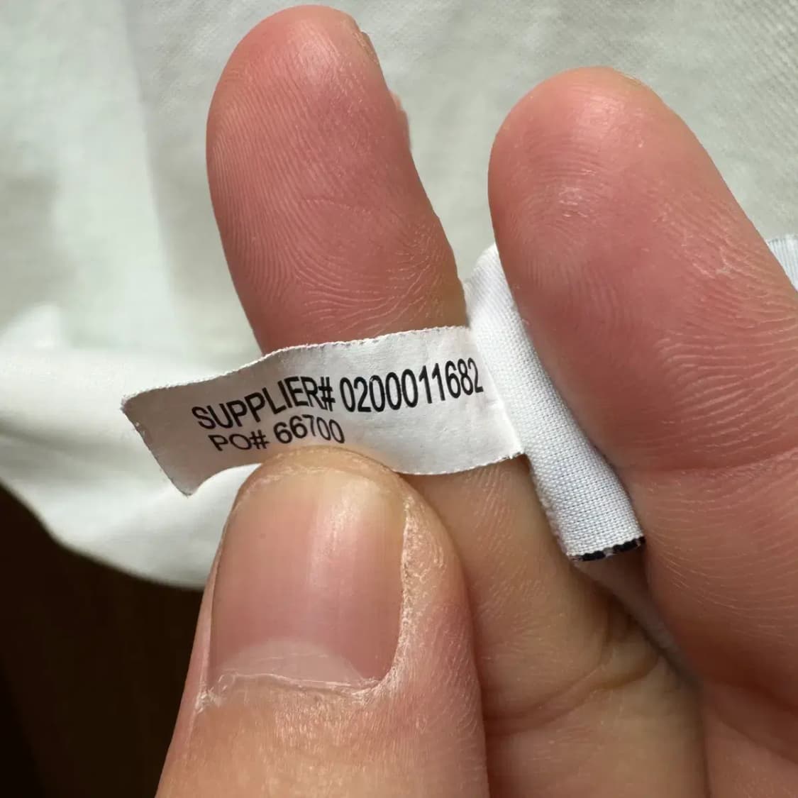 폴로 최신라벨 반팔 카라티 L (여성) 상품이미지6