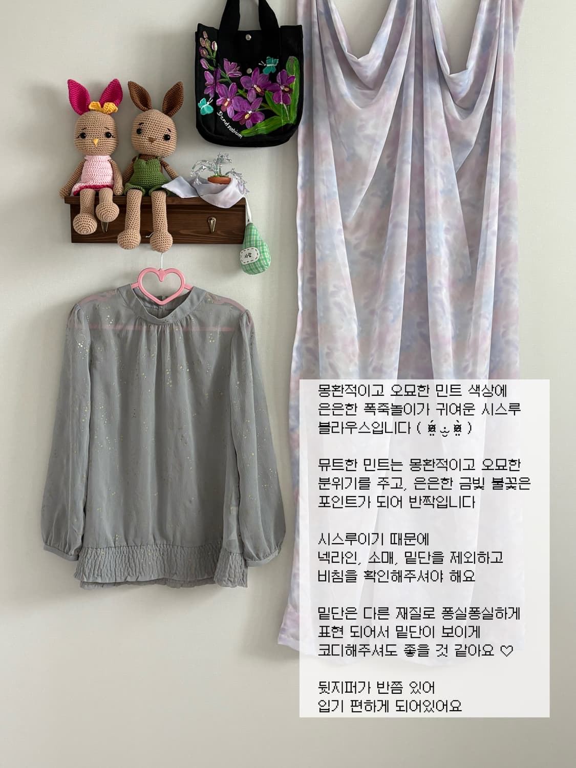 시스루 블라우스 상품이미지1