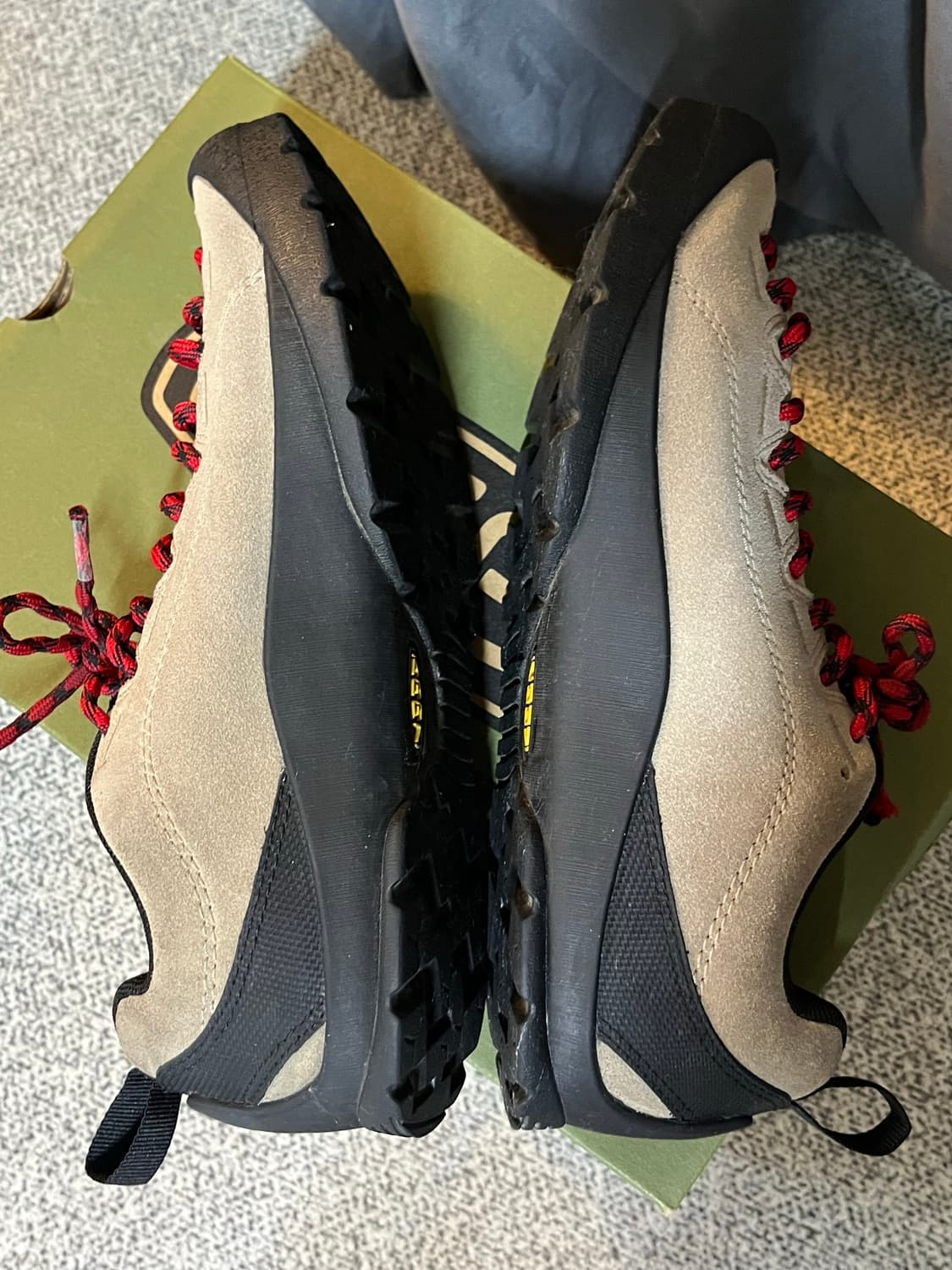 KEEN 킨 재스퍼 스니커즈 베이지 풀박스 225 상품이미지6