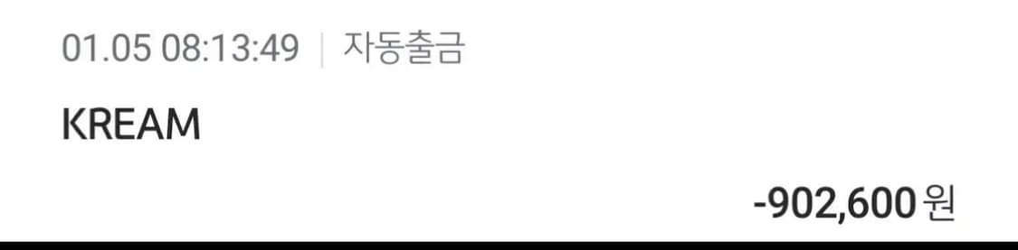 아크테릭스 베타ar  상품이미지6