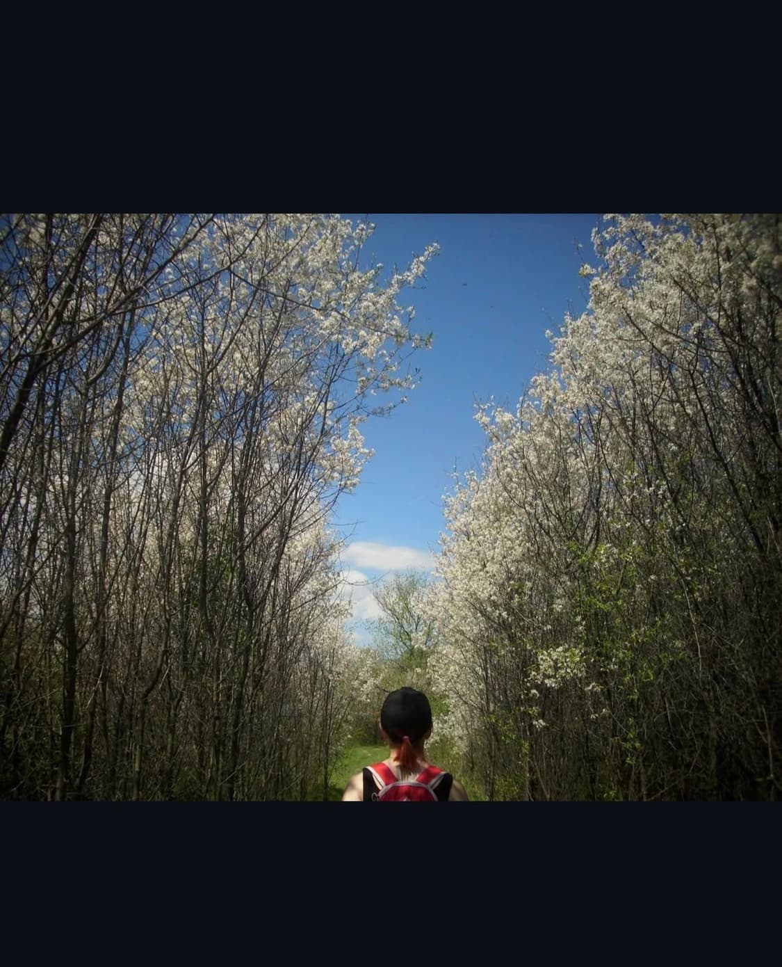 폴라로이드 i836 디지털카메라 상품이미지8