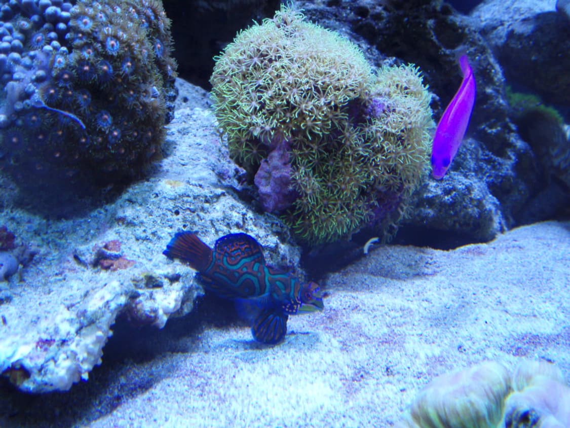 올림푸스 뮤 7010 디카 (빈티지 카메라) 상품이미지7